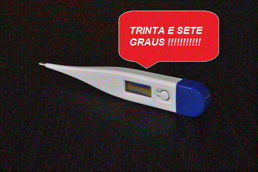 TERMÔMETRO FALANTE P/ CEGOS – C/ PIC 16F628A E FLASH 25Q16 (REF303)