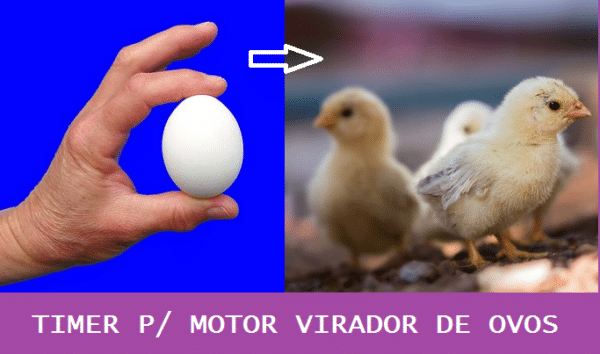 TIMER P/ MOTOR VIRADOR DE OVOS – C/ PIC 12F675 (REF344)